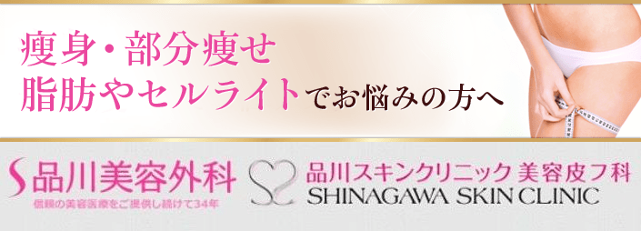 痩身・部分痩せ、脂肪やセルライトでお悩みの方へ!